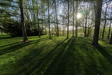 Evening sun rays in the city park.