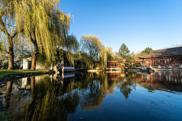 Fototapeta premium Chinese pagoda near the lake. Spring landscape.