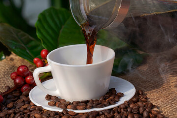 Americano coffee in a white coffee cup with raw and roasted coffee beans background.