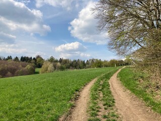 Wanderweg zwischen Wald und Wiese im Frühling 