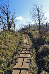 Obraz premium 丹沢の風景
