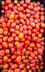 Delicious red tomatoes. Summer tray market agriculture farm full of organic vegetables It can be used as background.