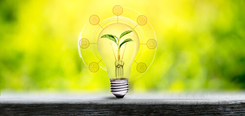 Light bulb with growing tree inside on green sunny background. Panoramic of Ecology and Environment...
