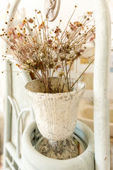 close-up bouquet of dry lavender in a vase