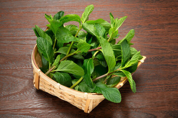 モヒート用のミント、イエルバブエナ