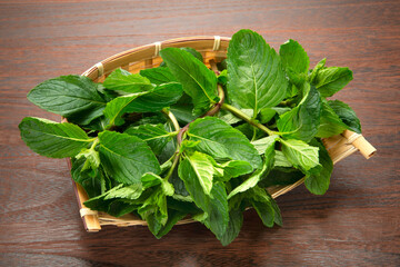 モヒート用のミント、イエルバブエナ