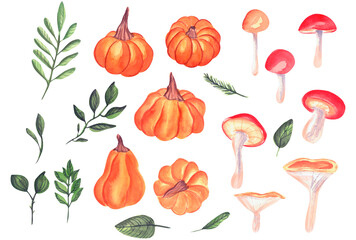 Set of watercolors autumn objects: pumpkins and greenery on white background. Perfect for seasonal advertisement, invitations, cards, textile