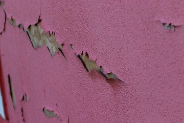 Pink wall with paint that peels off. cracks in cement