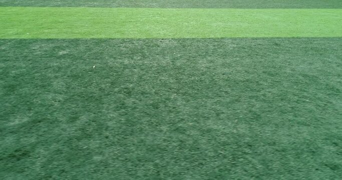 Overhead shot of the texture of the artificial grass of a sports field