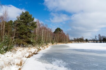 Otterlo Netherlands - 12 February 2021 - National Park Hoge Veluwe in the Winter