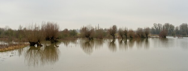 Wageningen Netherlands - 4 February - Flood plains of river Rhine near Wageningen in the Netherlands