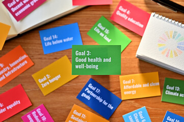 There is a card with the statement Goal 3: Good health and well-being on table one of the goals of the SDGs and a symbol.