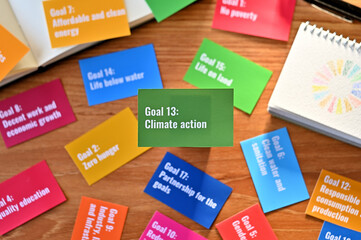 There is a card with the statement Goal 13:Climate action on table one of the goals of the SDGs and a symbol.