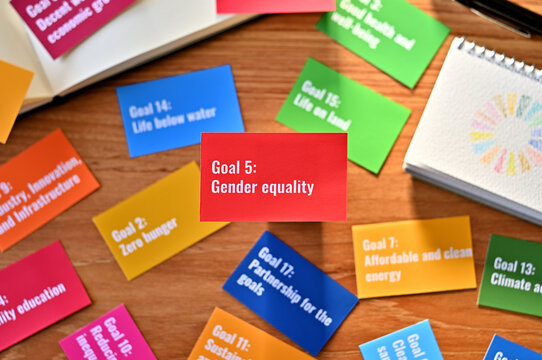 There is a card with the statement Goal 5:Gender equality on table one of the goals of the SDGs and a symbol.
