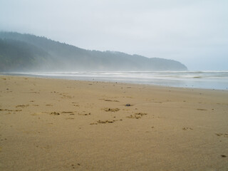 Oregon Coast or Washington State Pacific Ocean Cloudy Landscape