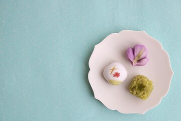 5月のイメージ和菓子3個　ツバメ　菖蒲　もみじ