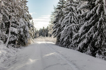 road in winter