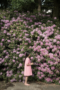 Girl in pink dress standing in front of large purple rhododendron flower bush