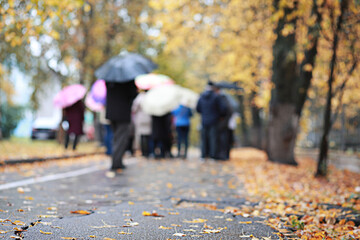 Fototapeta premium Autumn rain in the park