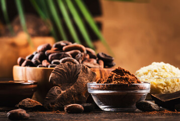 Various cocoa products set: beans, powder, butter, dark chocolate, grated cocoa on wooden table background