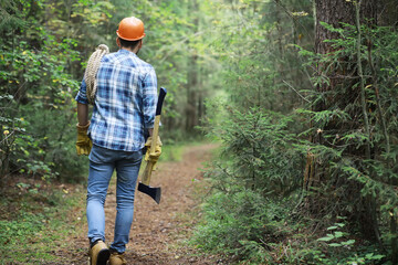 Male lumberjack in the forest. A professional woodcutter inspects trees for felling.