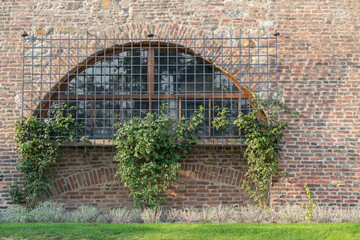 window and wall gardening in a park located inside Prague Castle