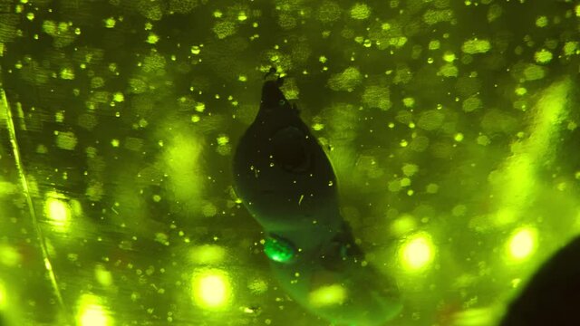 Toxic waste in slow motion, chemicals boiling, strange, green liquid creating bubbles in chemical reaction. Gritty, dark background, chemistry under a microscope in slow motion.