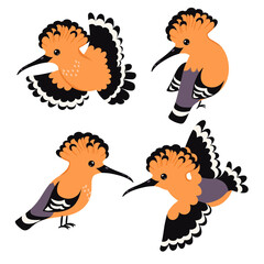 Set of birds hoopoe isolated on white background. Vector graphics. © Екатерина Зирина