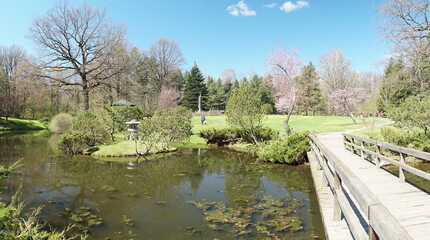 lake in the park