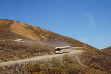 Crédence de cuisine en verre imprimé Denali Denali Tour Bus on dusty Road in Natinal Park, Alaska