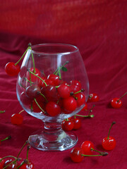 Morello cherry in a glass on a red background. Still life with berries. Copy space for text.