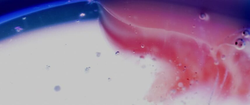 Macro Textures with Vibrant Neon Color Palette. Abstract Background Made with Oil Mixed with Royal Blue and Pink Dye, Ink, and Paint.