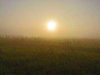 misty morning sunrise