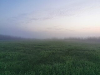morning mist over the field