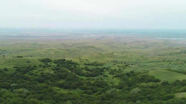 Flight over a green forest glade in the evening