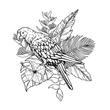 black and white parrot tropical leaves clip art preview