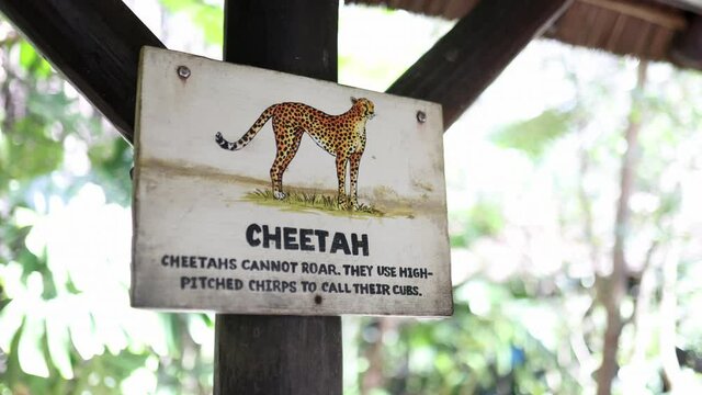 Vintage-looking image of a cheetah on wooden sign with blurry background