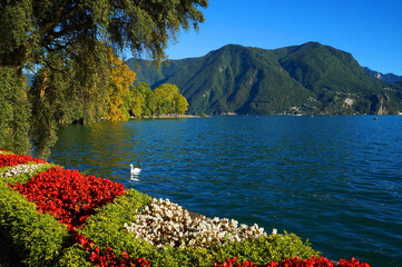 Summer cityscape of Lugano, Switzerland, Europe