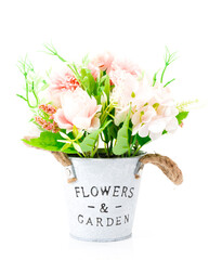 A flower in a pot on a white background