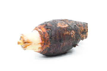 Taro on a white background