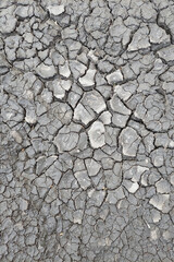 Dry dirt texture background. Dry cracked earth.