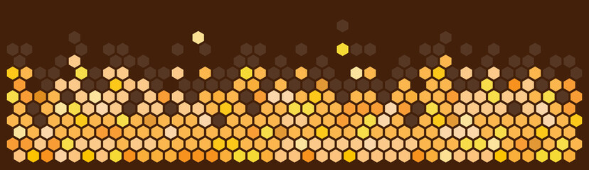 Hexagon / Honeycombs