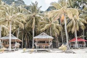 beach cottages and trees