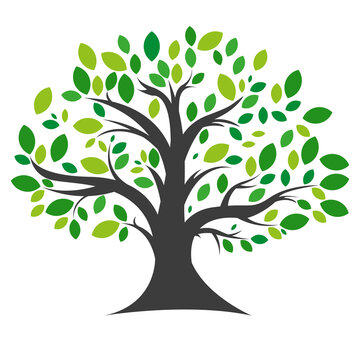 Tree icon. Simple vector illustration on a white background