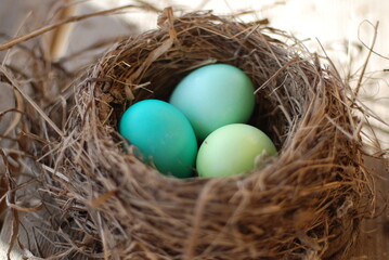 Пасхальные яйца в гнезде