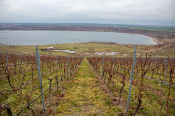 Autumn pictures of the Geiseltalsee with viticulture, originated from a former brown coal opencast mine near Merseburg and Muecheln, Germany