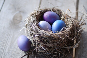 Fototapeta na wymiar Пасхальные яйца в гнезде