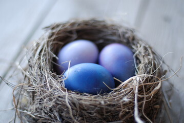 Пасхальные яйца в гнезде