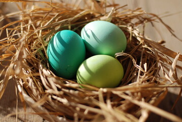 Пасхальные яйца в гнезде