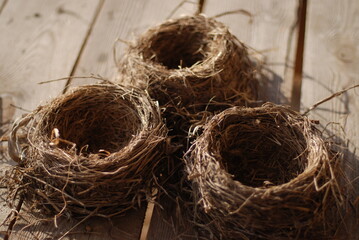 bird nest on a wooden surface